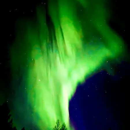 Peaceful & Stylish Aurora Near Nature דירה *